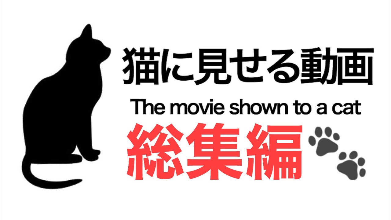 【ネコ用】猫見せる動画 総集編