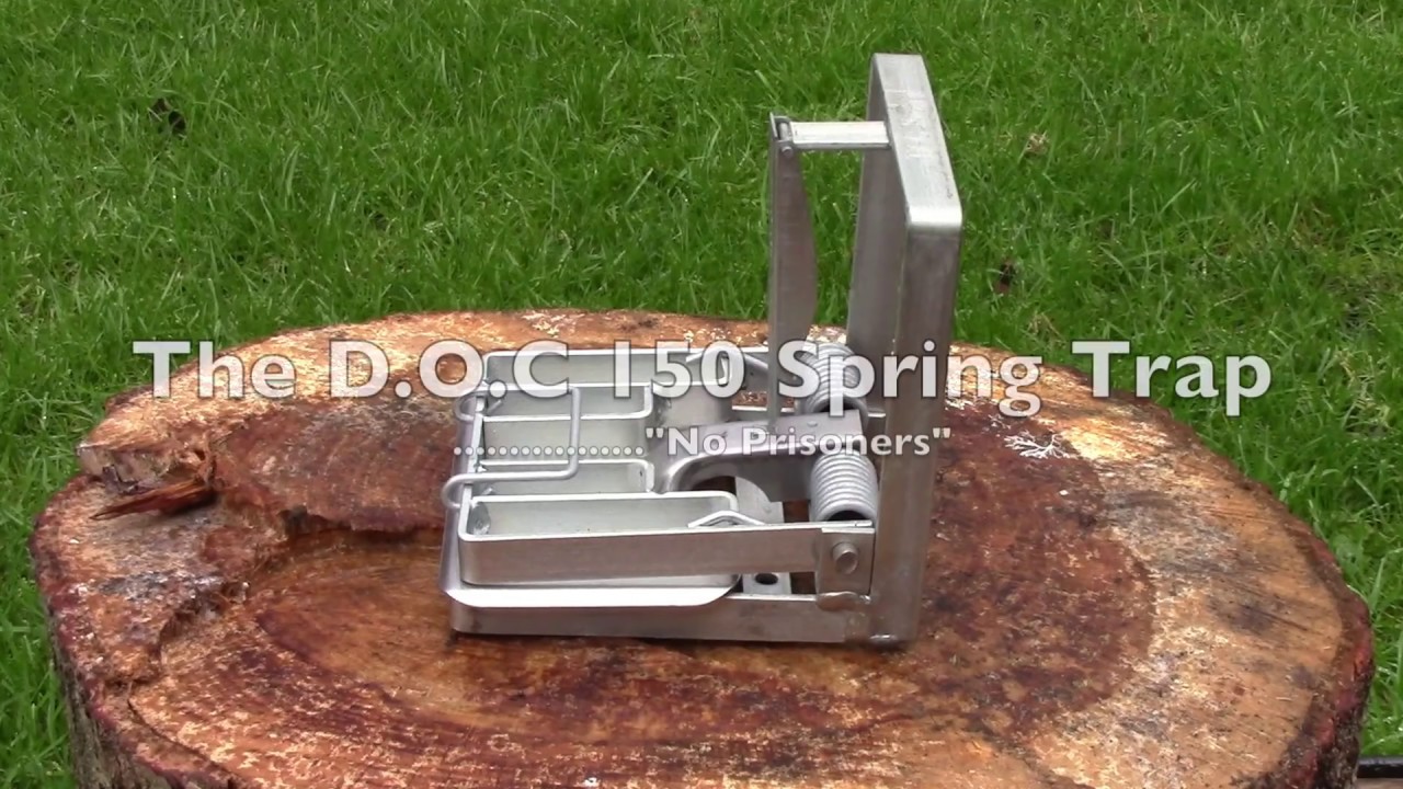 DOC 150 Stoat Trap