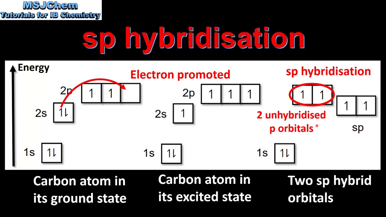 S2.2.16 Hybridisation (HL)