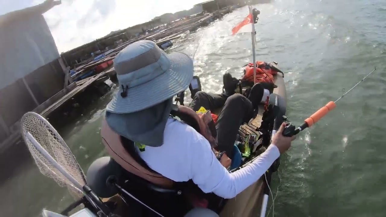 PULAU UBIN KAYAK FISHING SINGAPORE FISHING DIARY 22/28 JULY