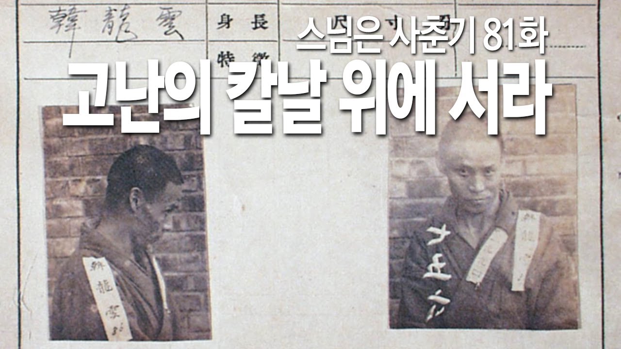 81화 최종 