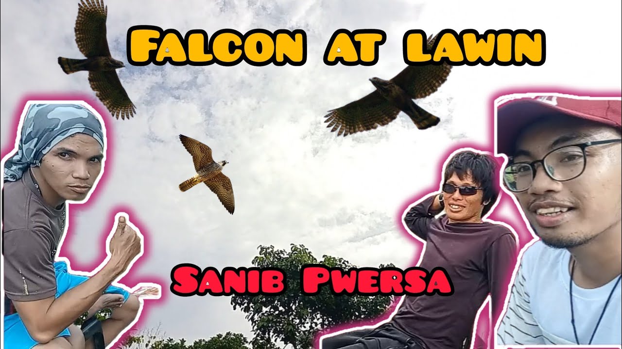 FINAL LAP SA NORTH FUNRACE | TAILWIND | 6TH LAP NG SOUTH FUNRACE | SMASH | Shinobi Pigeon TV