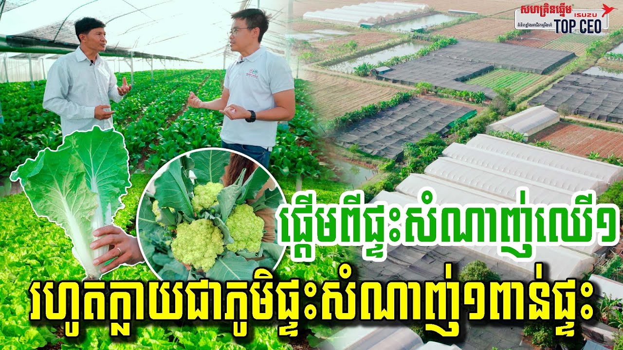 សាងសង់ផ្ទះសំណាញ់១ពាន់ផ្ទះដាំបន្លែ អនាគតយើងលែងភ័យរឿងបន្លែនាំចូលទៀតហើយ | កម្មវិធី Top CEO