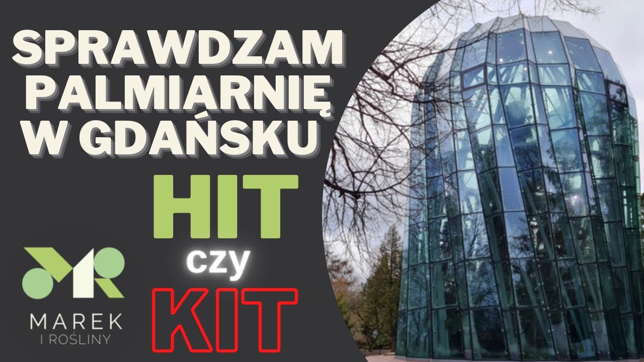 Sprawdzam palmiarnię w Gdańsku! Czy było warto czekać tyle lat? Park Oliwski
