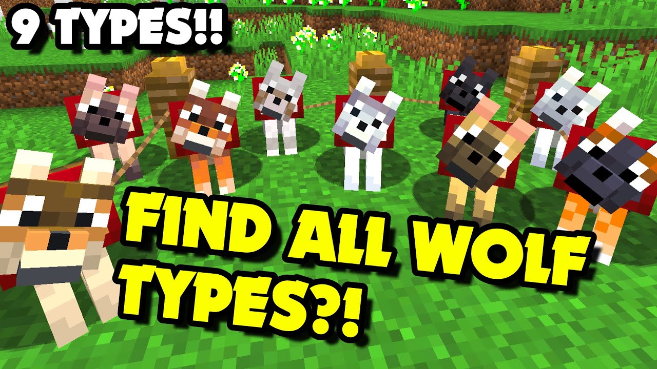 How to Find ALL WOLF TYPES in Minecraft 1.20.5+? Find All Wolves | All Variants [Easy]