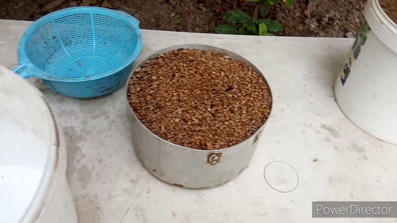 2 ayliq cuceler ucun elave yem qarişigi