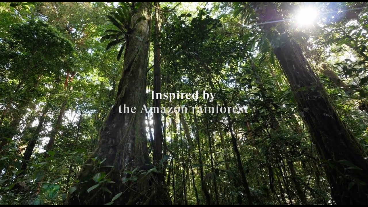 Chacrona, our most conscious creation.