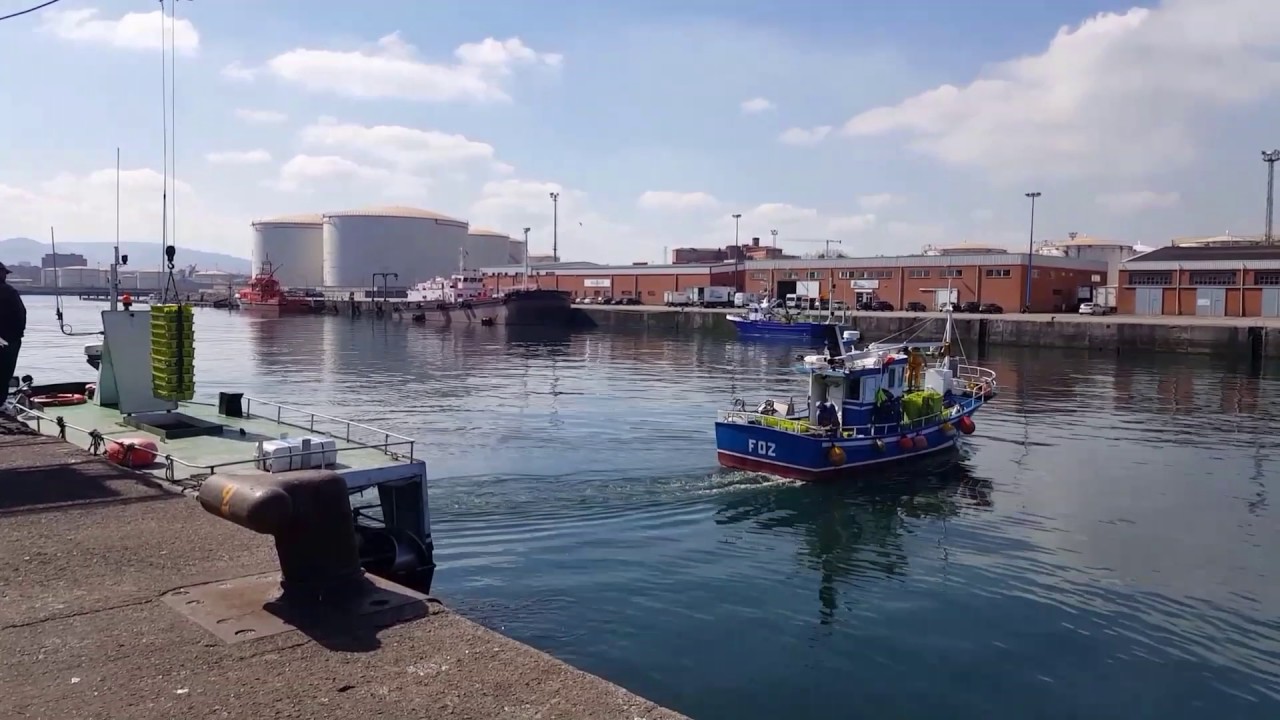 El Musel pesca