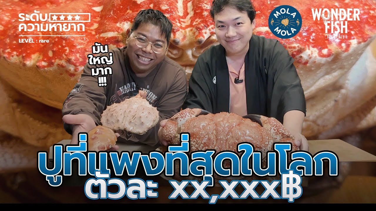 รู้จักกับ ปูที่แพงที่สุดในโลก #wonderfish