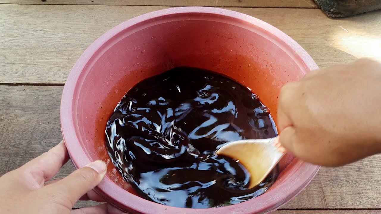 Cara membuat serum EM1 di rumah (Effective microorganisms) untuk sayuran