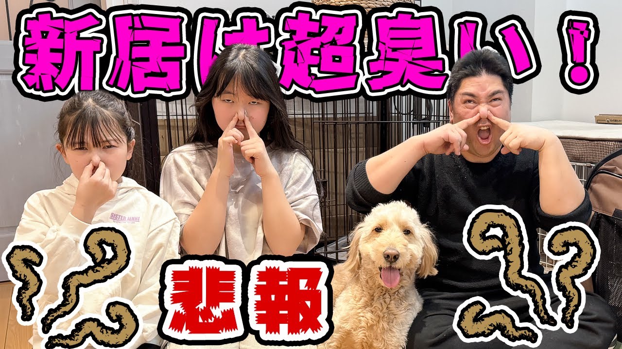 【悲報】新居から悪臭！もう生活できない！ - はねまりチャンネル
