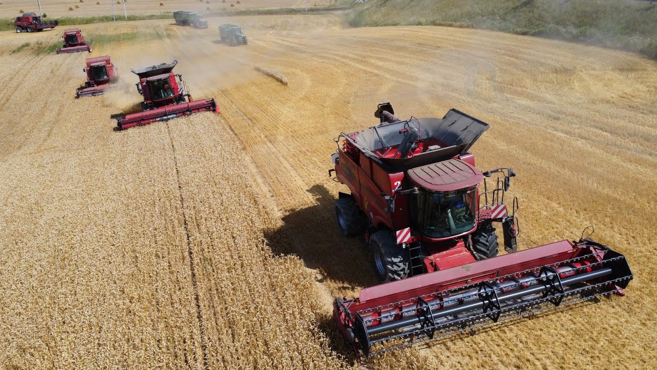 żniwa 2022 w AGROFARM JURKOWICE na 5 CASE
