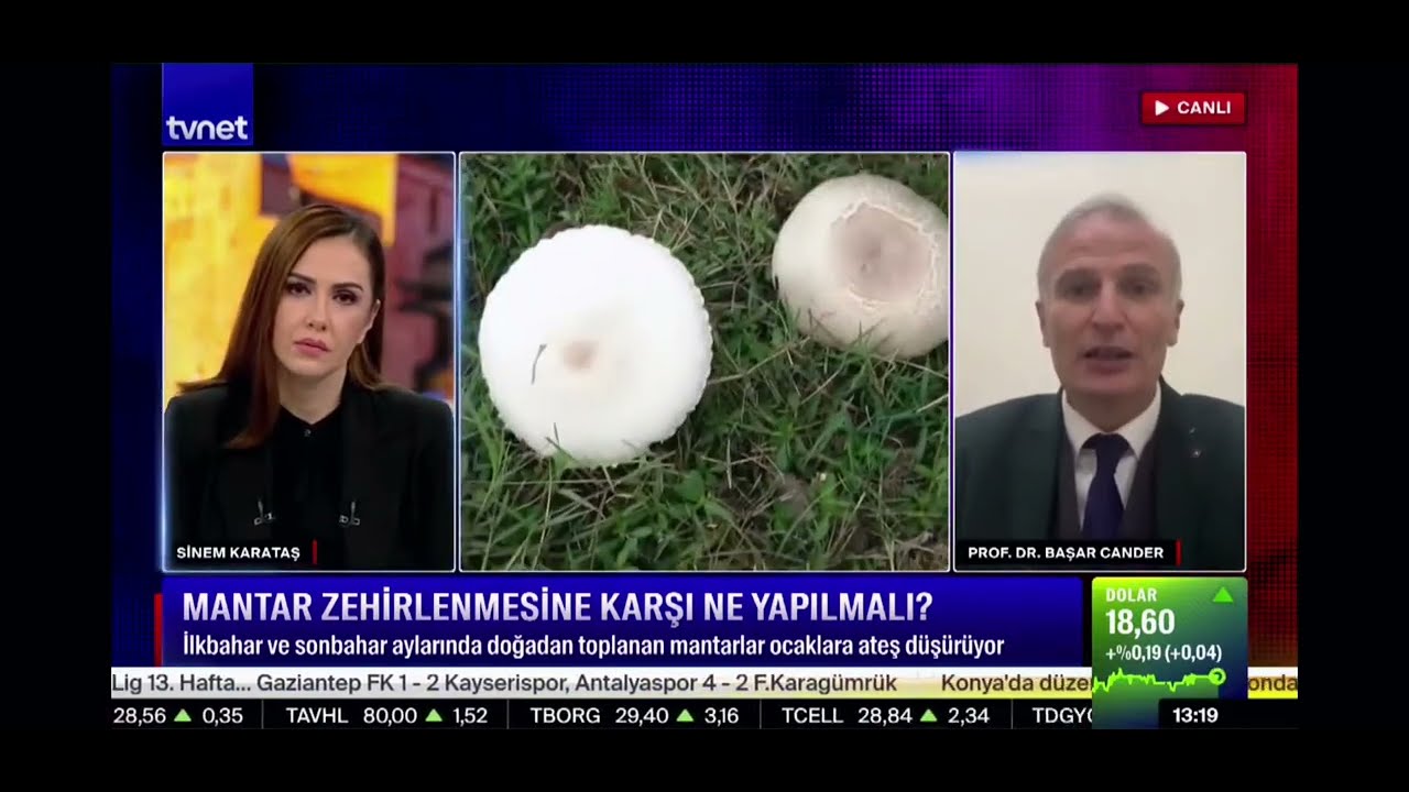Mantar Zehirlenmesine Karşı Ne Yapılmalı ? Prof. Dr. Başar Cander Açıklıyor.