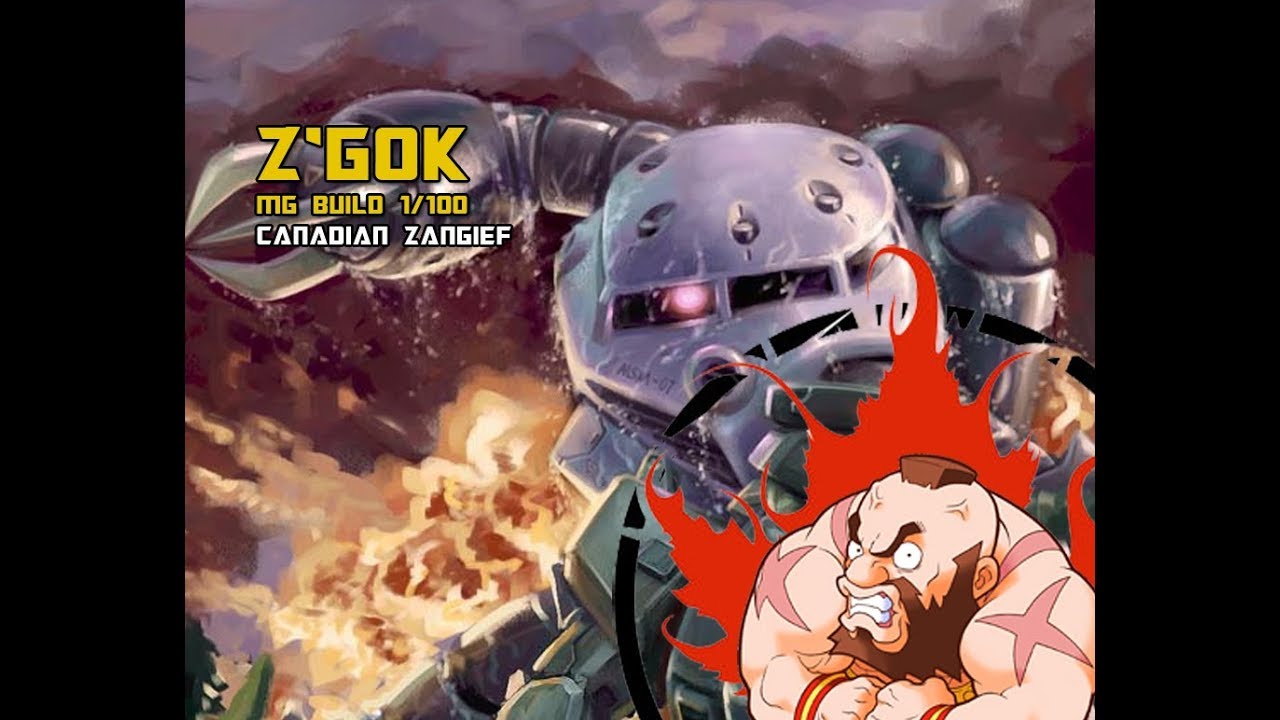 Z'Gok MG Beginner Build