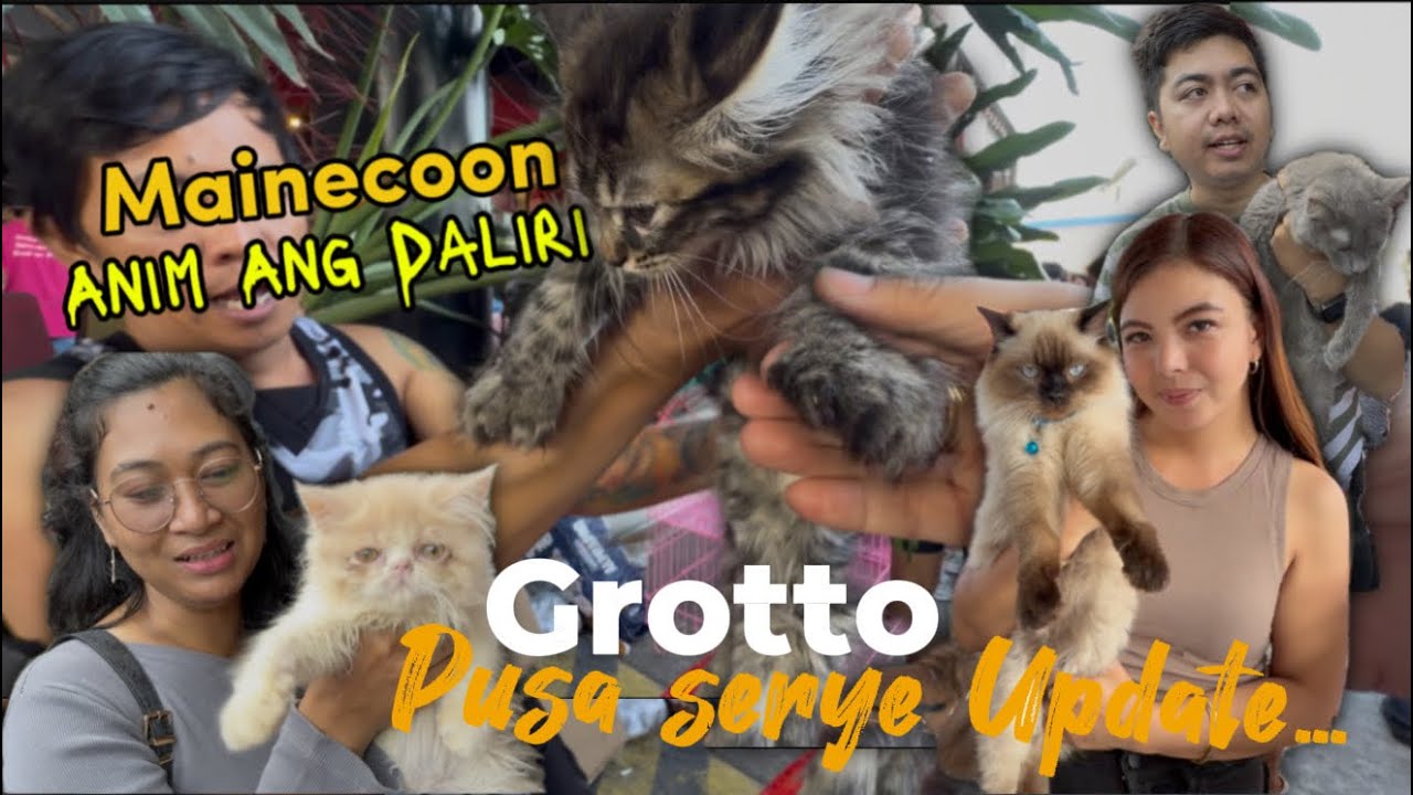 Grotto Pusa Serye February 1 2026 update...