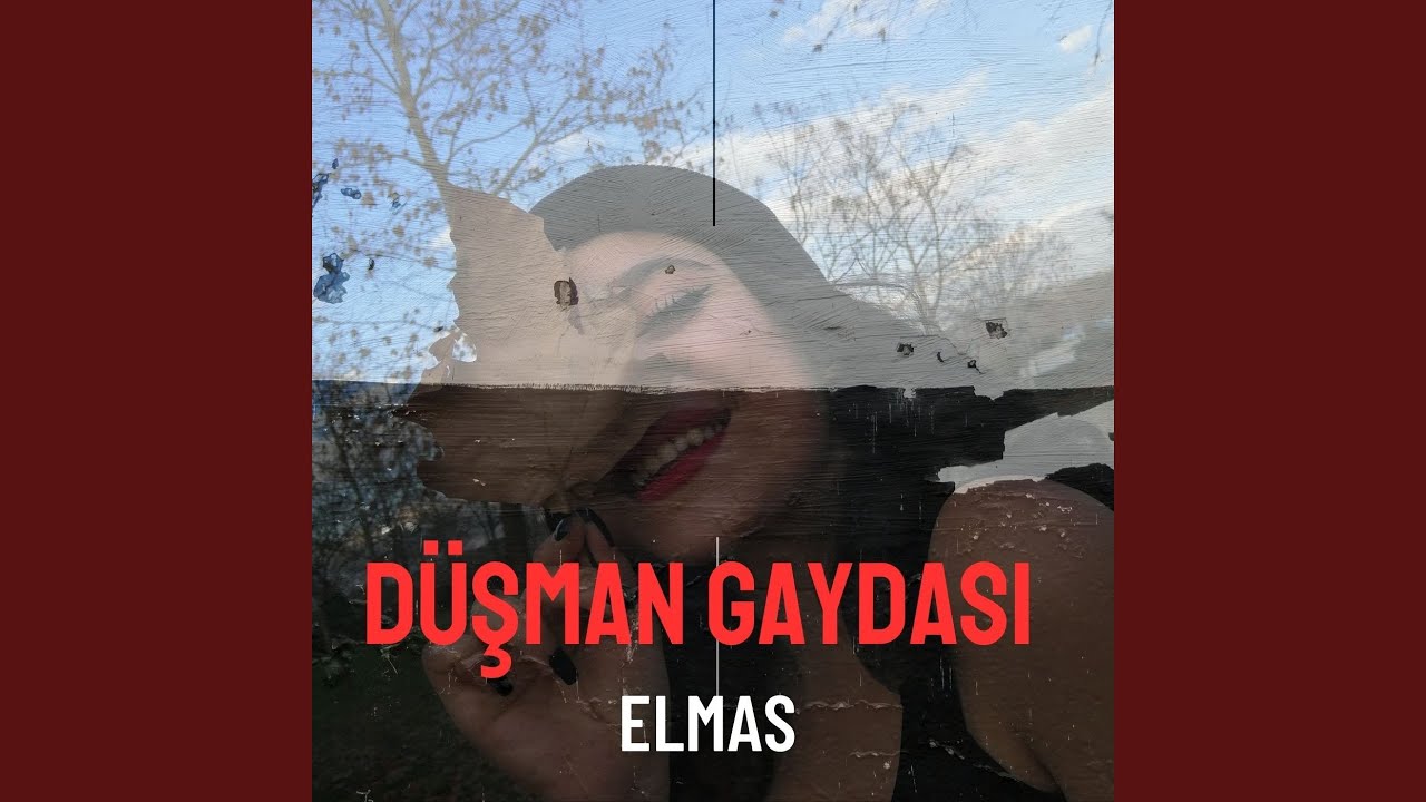 Düşman Gaydası (feat. Serdar King)