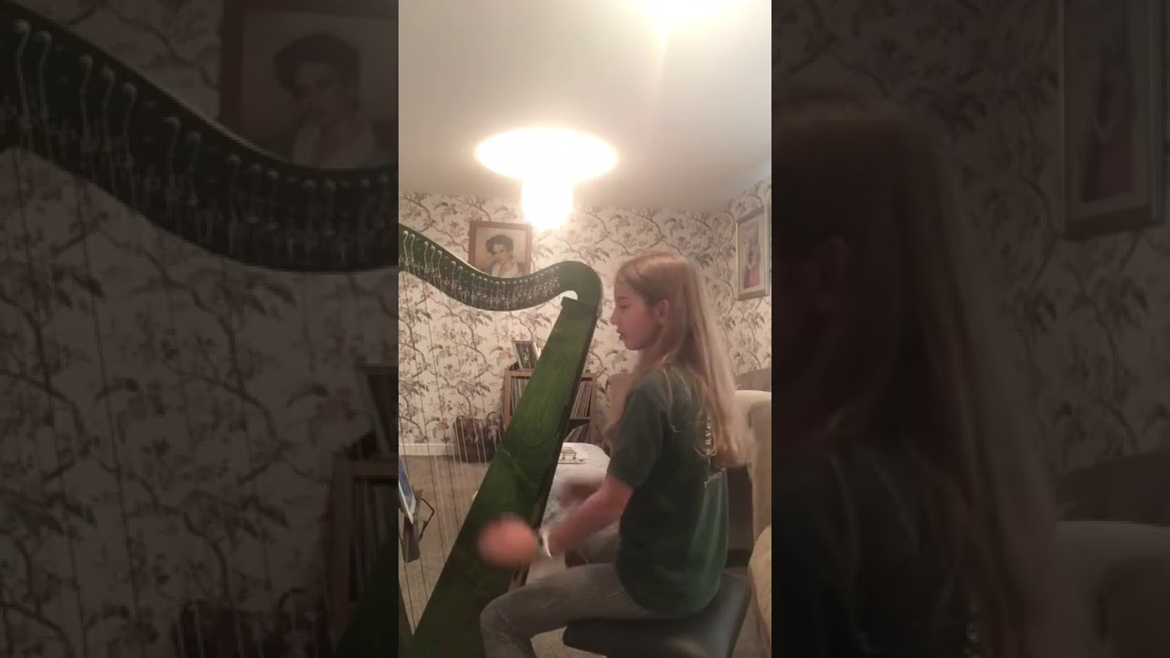 A River Flows In You - Derwent Harps Explorer 34 - Alana Bowler
