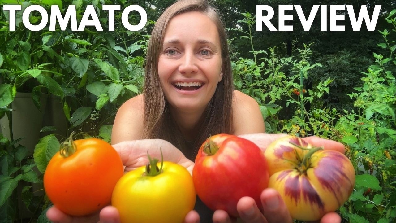 The Best Tomato Varieties - A Review of my 2024 Heirloom, Cherry, & Hybrid Varieties