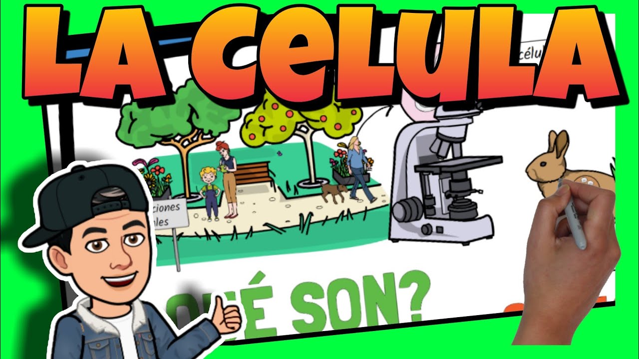 🔴 La C&Eacute;LULA para NI&Ntilde;OS | Definici&oacute;n, estructura, funciones y partes