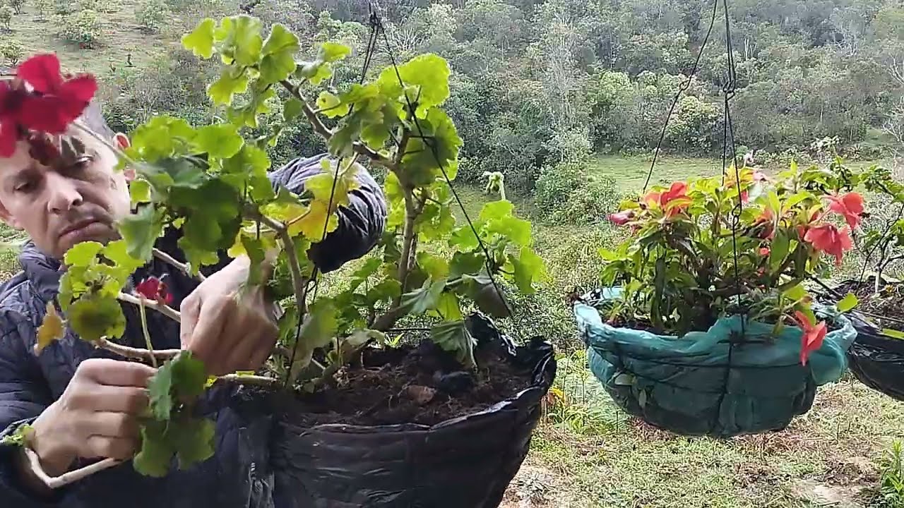Así es un día en CASA de campo