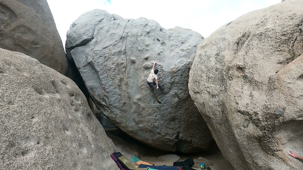 Secrets of the Beehive V7 - Buttermilks, Bishop