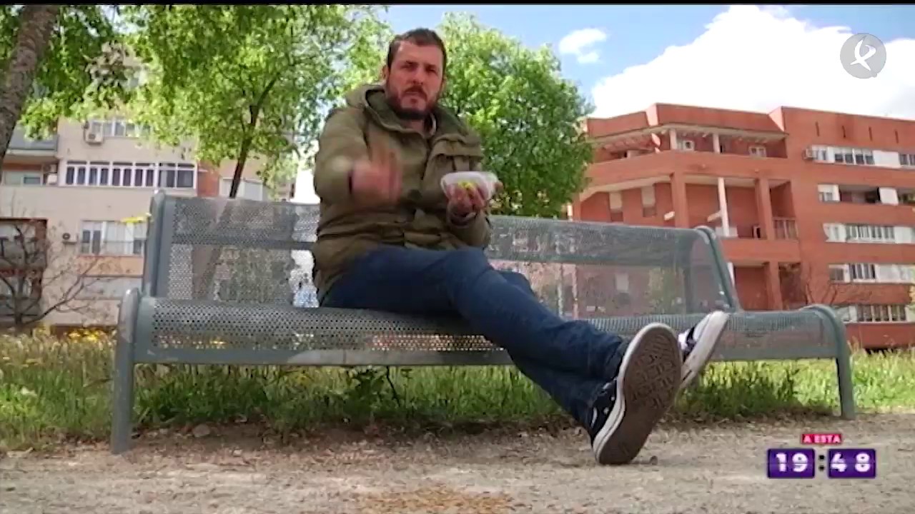 Los gorriones están desapareciendo | A esta hora
