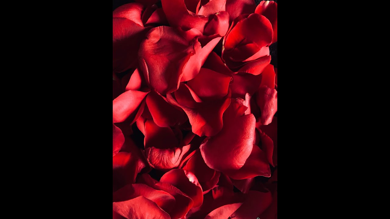 ♥️🎎 你未來的婚姻生活 （婚前戀愛生活 對方性格 相處方式 婚姻特質 委婉講解你們臥室裡那點事）【實話實說 重磅內容 全面分析你們的酸甜苦辣!!!】🍞🌈   (TIMELESS)