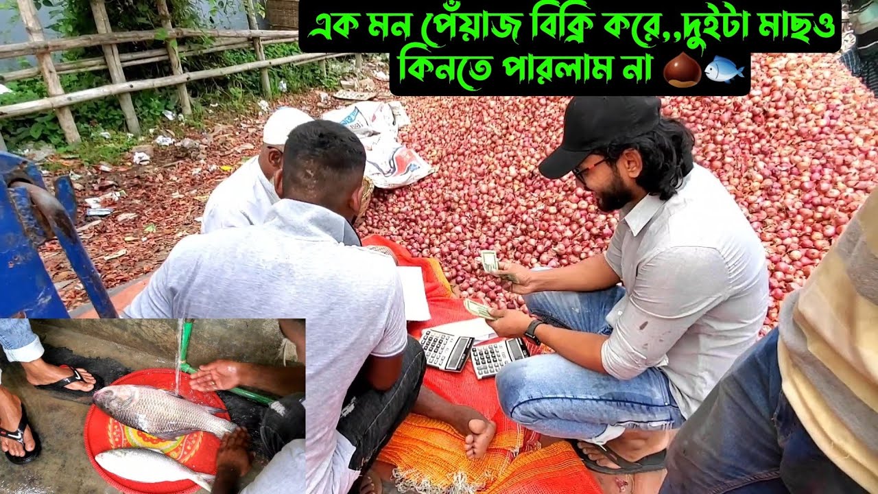 এক মন পেঁয়াজ বিক্রি করে,,দুইটা মাছও কিনতে পারলাম না 🌰🐟