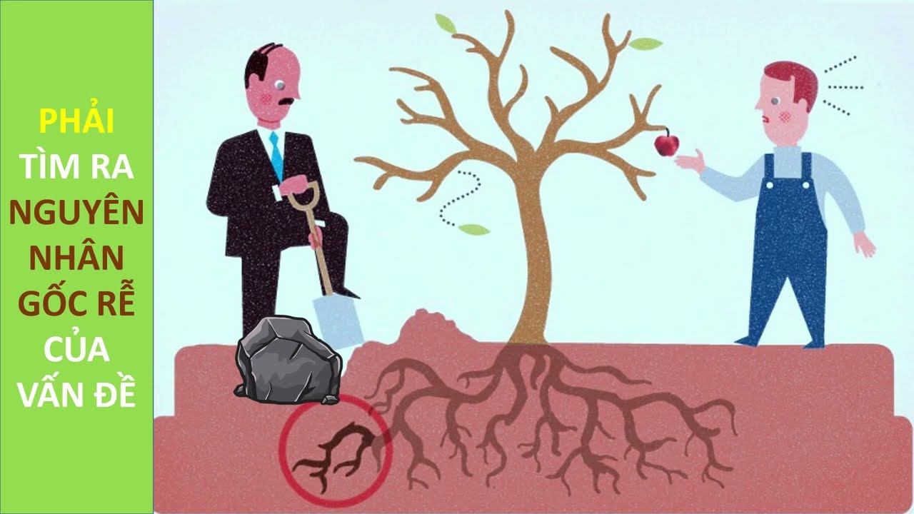 5 Whys - Câu chuyện thực tế