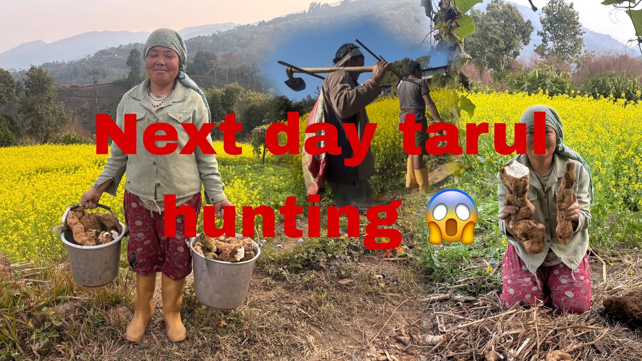 Next day 🙀 tarul hunting 😱😱😱😱😱😱