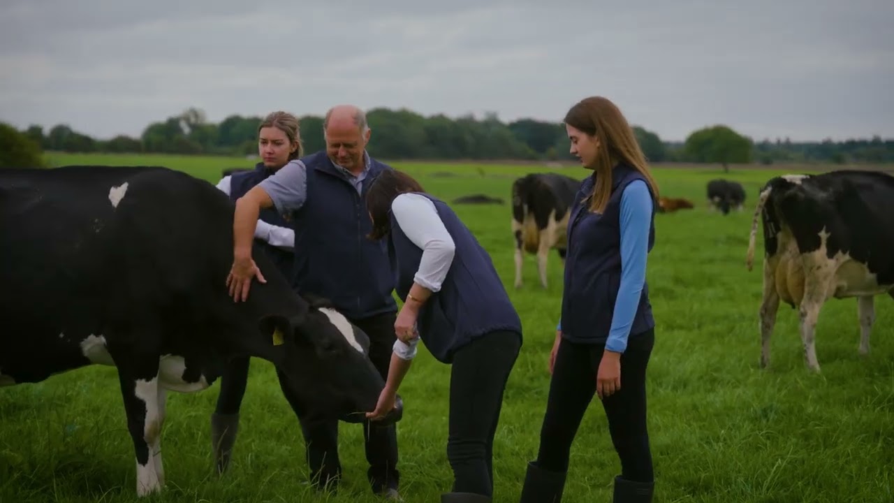 Winner of the 2022 NDC & Kerrygold Quality Milk Awards | Connelly Family, Co. Galway