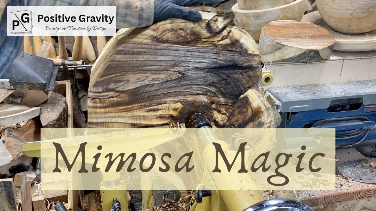 A Beautiful Turn of Mimosa Wood