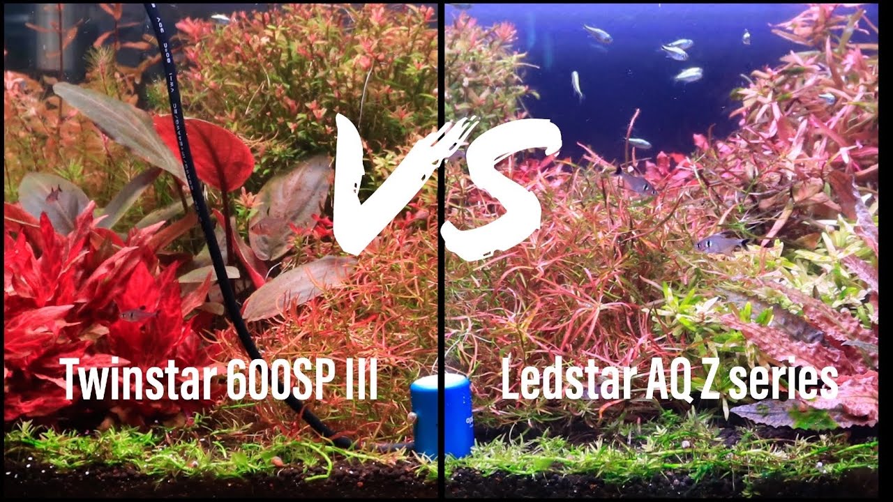 Twinstar 600SP III VS Ledstar AQ Z series 60