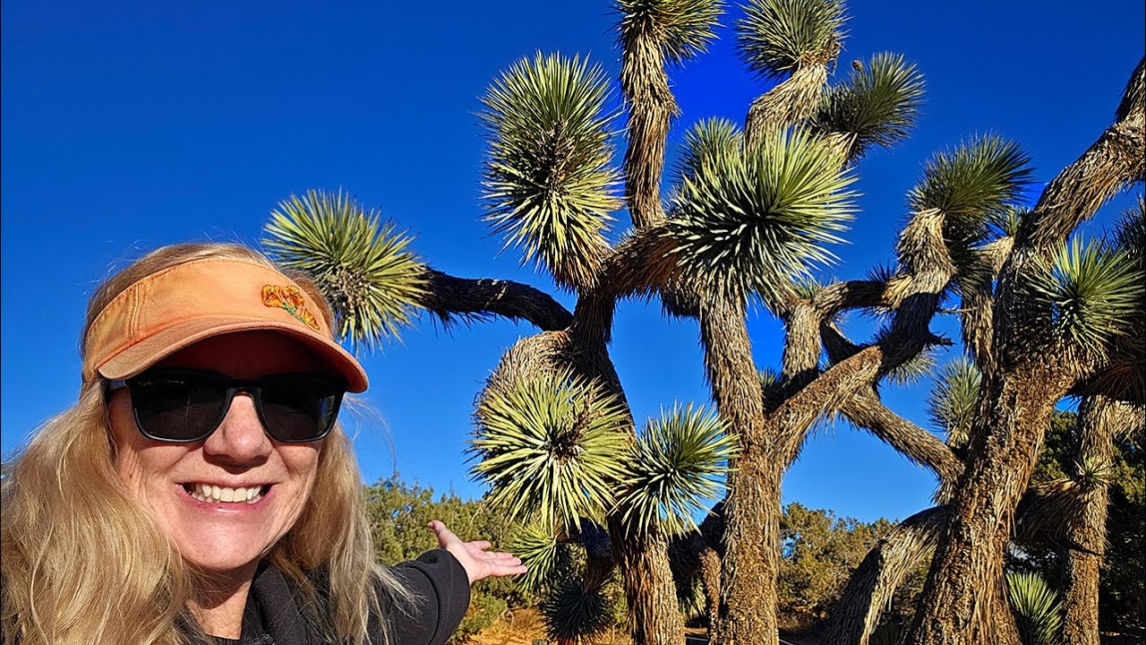 Prime Desert Woodland Preserve - A Hidden Gem near Los Angeles