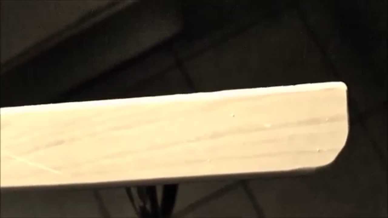 The smallest bug I ever seen.