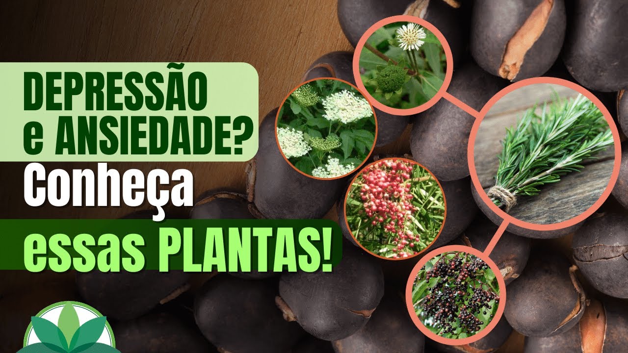 Depress&atilde;o e ansiedade ? Conhe&ccedil;a essas plantas !