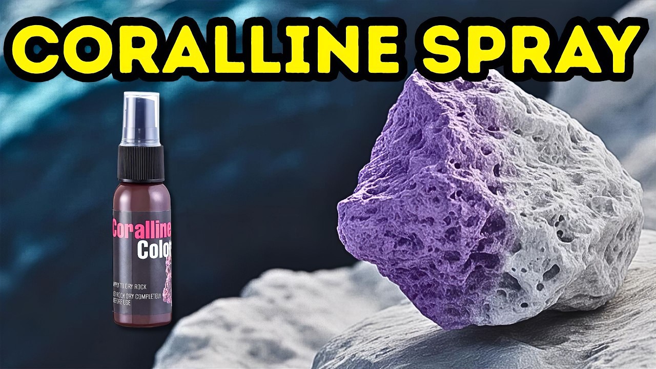 Marco Rock Coralline Purple Spray