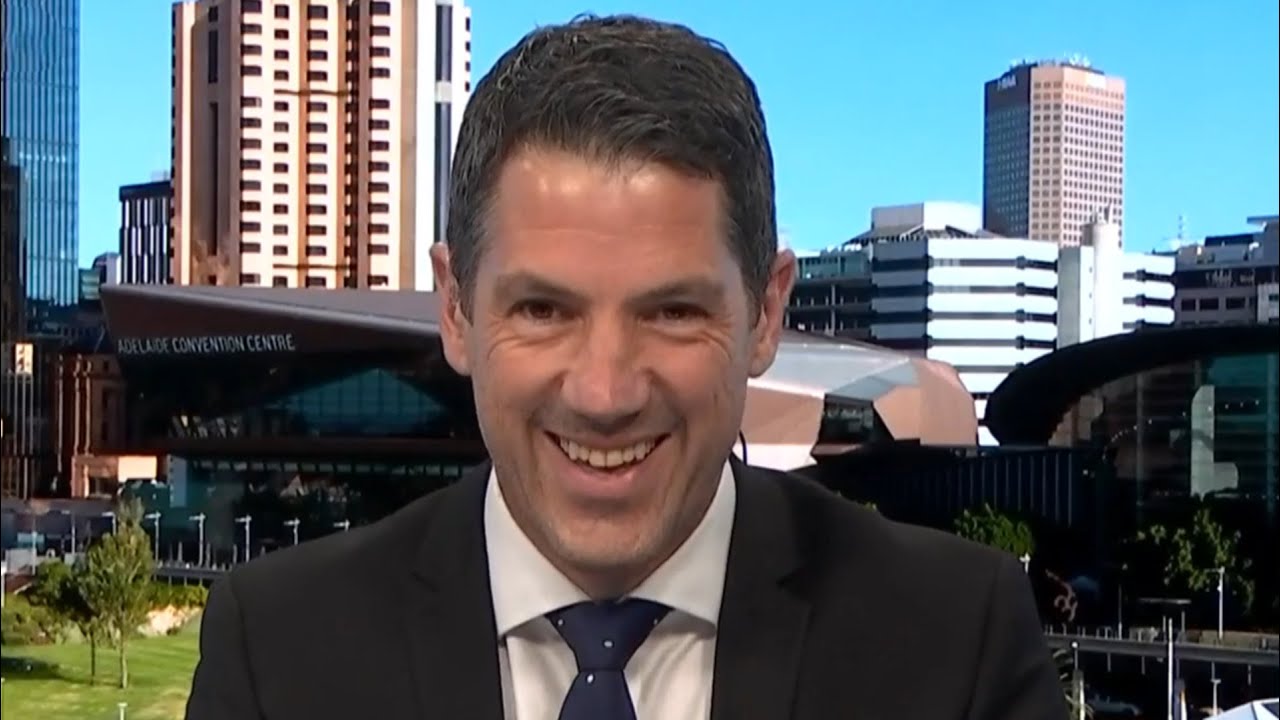 ‘She’s a formidable political operative’: Alex Antic questioned on if he’s joining One Nation