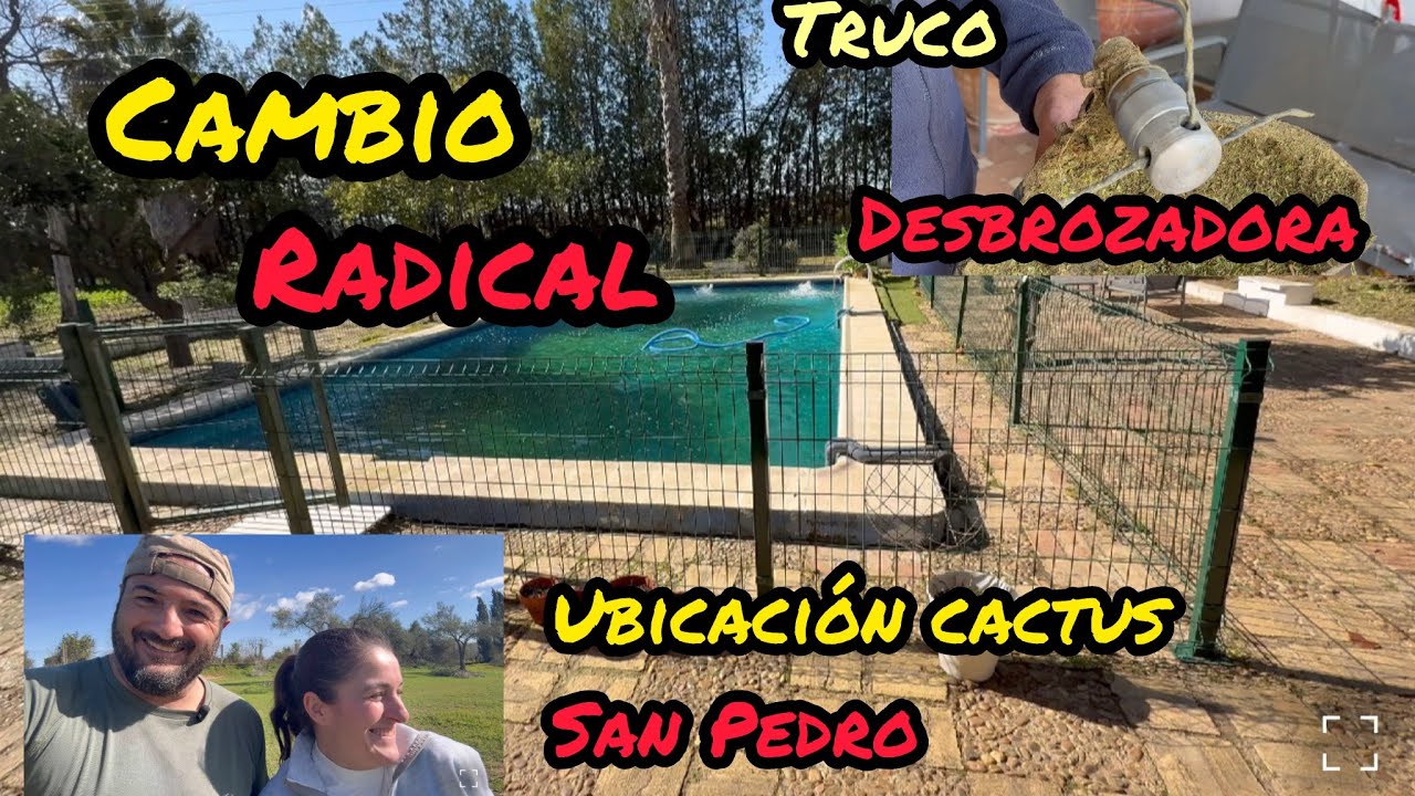 Cambio RADICAL zona PISCINA , TRUCO desbrozadora , ubicación de cactus SAN PEDRO 