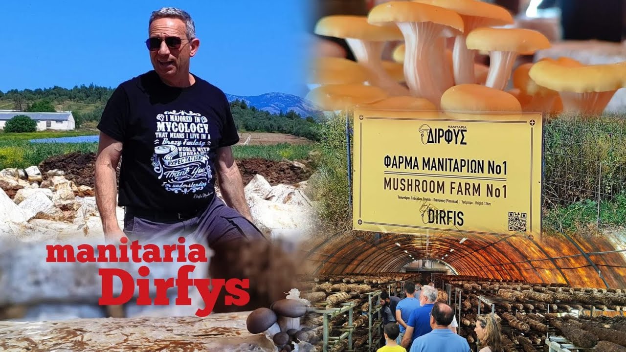 Μαζέψαμε Μανιτάρια στην Φάρμα Δίρφυς.