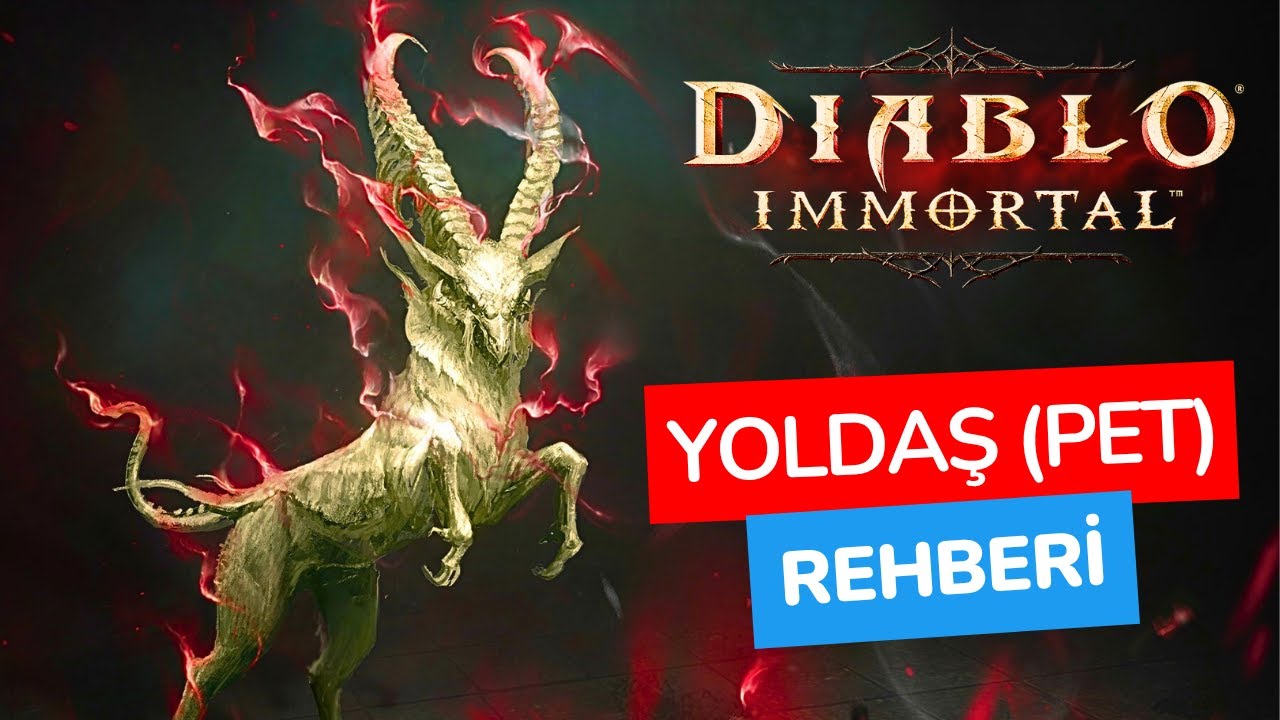 Diablo İmmortal Güncel Yoldaş Sistemi Nasıl Kullanılır? | Türkçe Rehber!