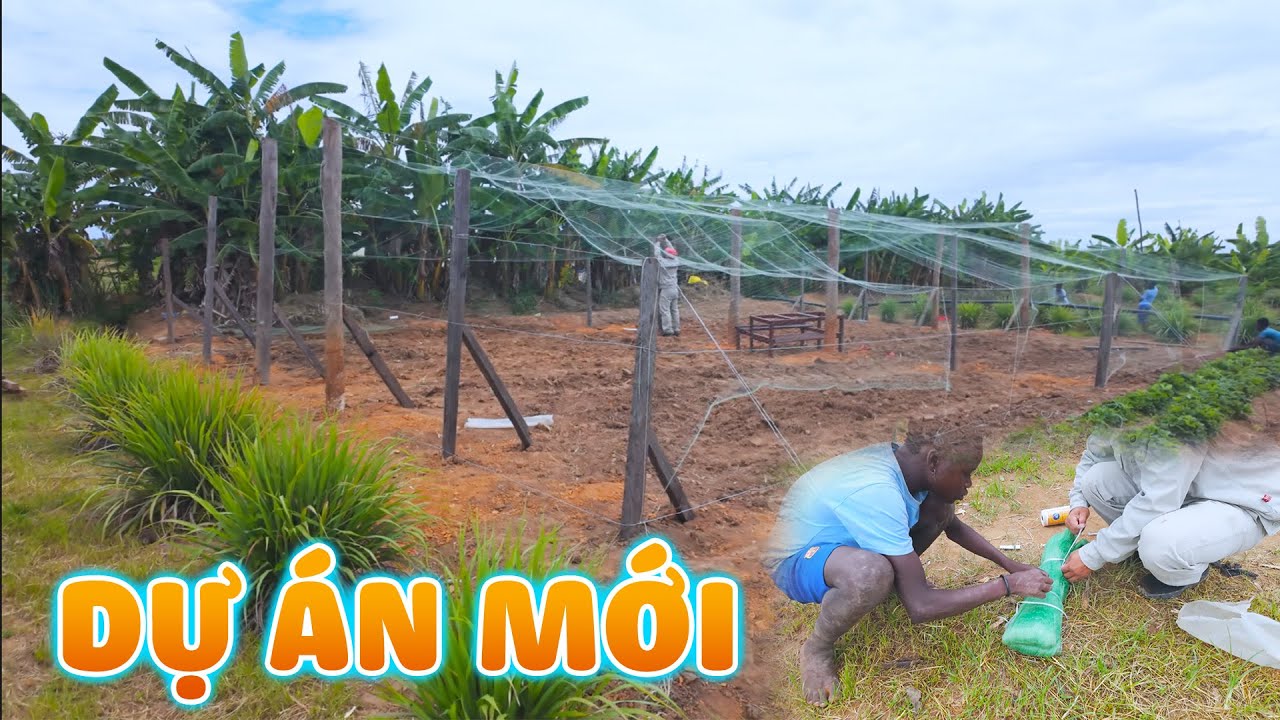 Quanglinhvlogs || Dự &Aacute;n Mới Đầu Năm Tại Quang Linh Farm...
