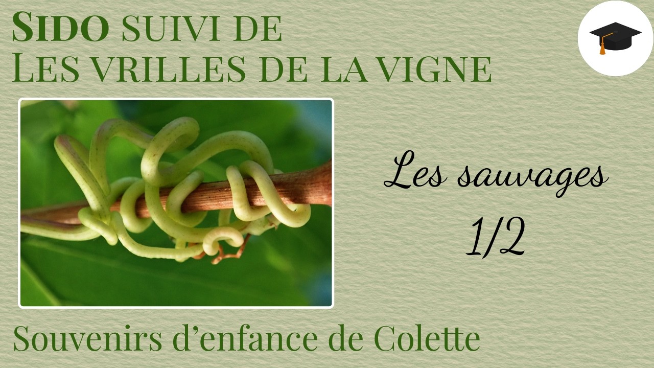 LECTURE 3 Sido suivi de Les vrilles de la vigne de Colette