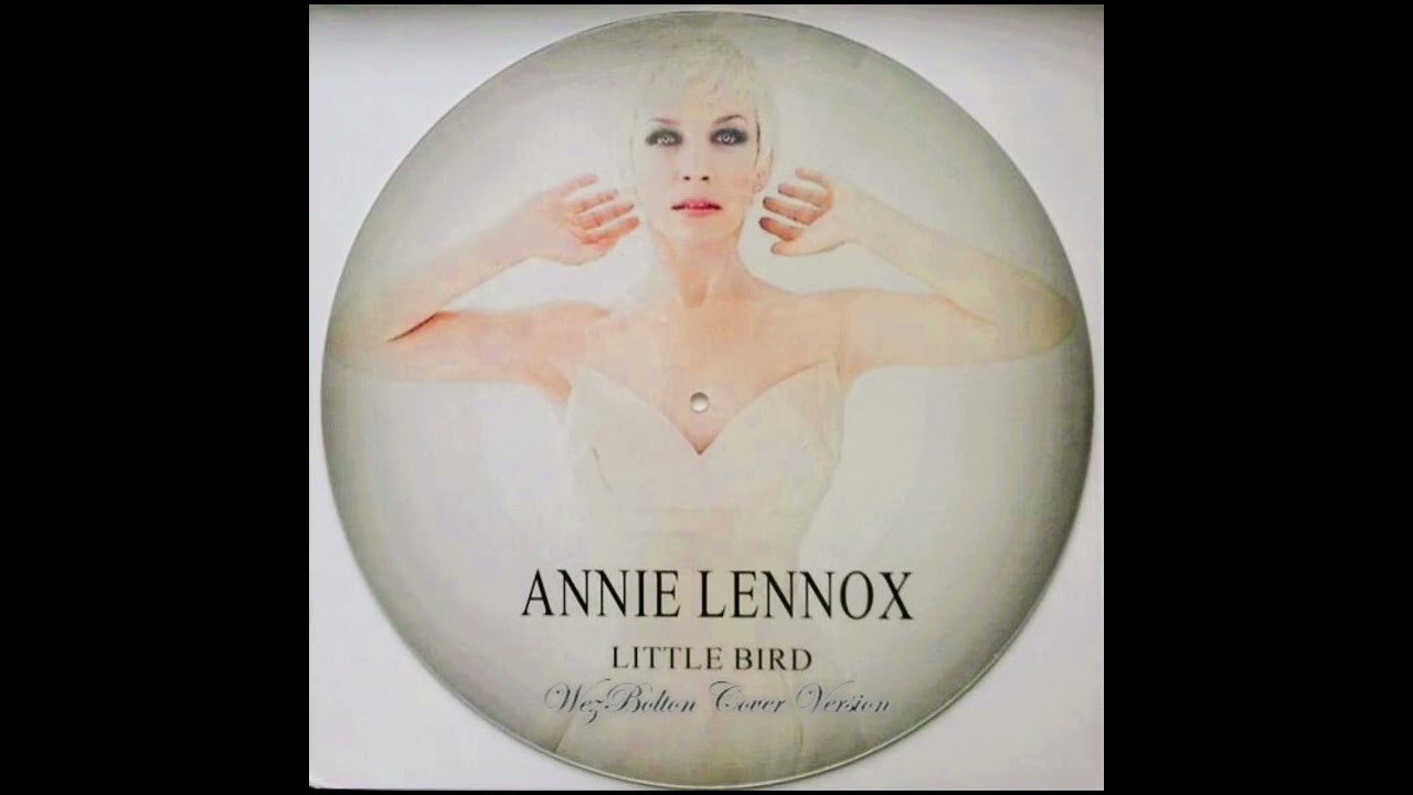 Annie Lennox - Little Bird (WezBolton Cover Version)