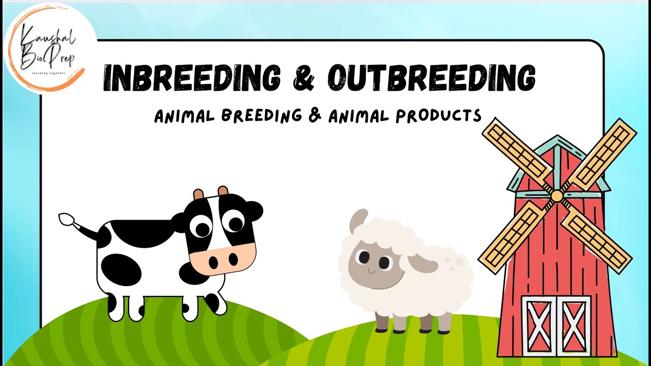 MODERN METHODS OF BREEDING FOR SHEEP AND CATTLE