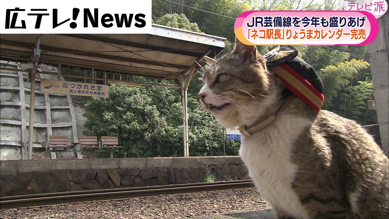 【JR志和口駅】ネコ駅長「りょうま」のカレンダー大人気