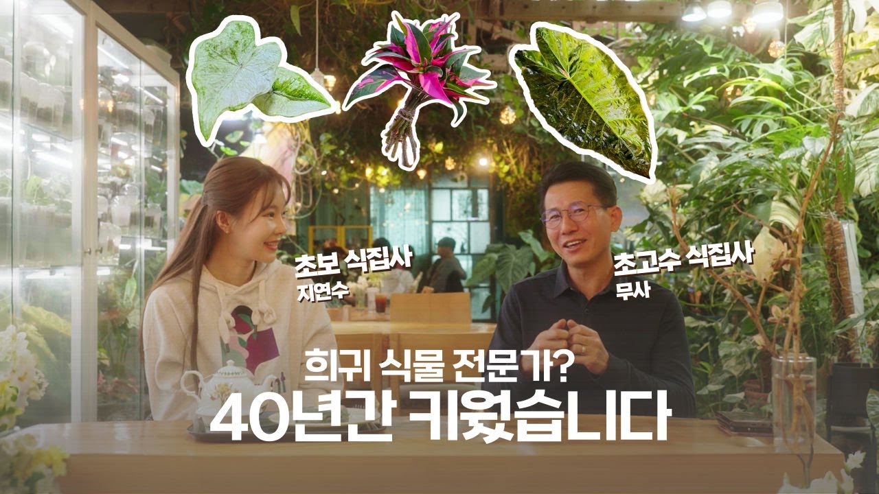 [갑조네TV]  곶자왈보석상자 | 40년 식집사 무사 | 희귀 식물 카페