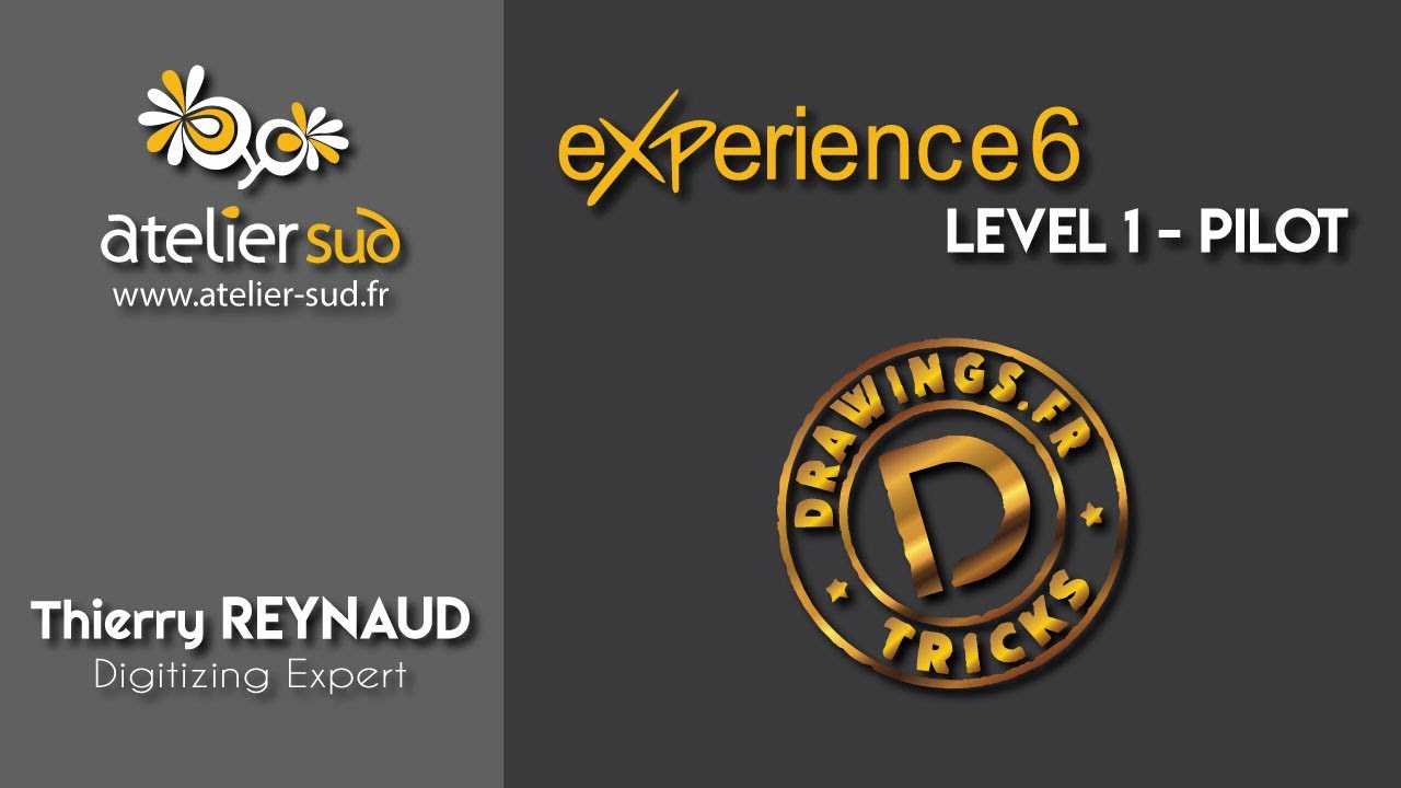 Wings eXPerience 6 - Level 1 Pilot