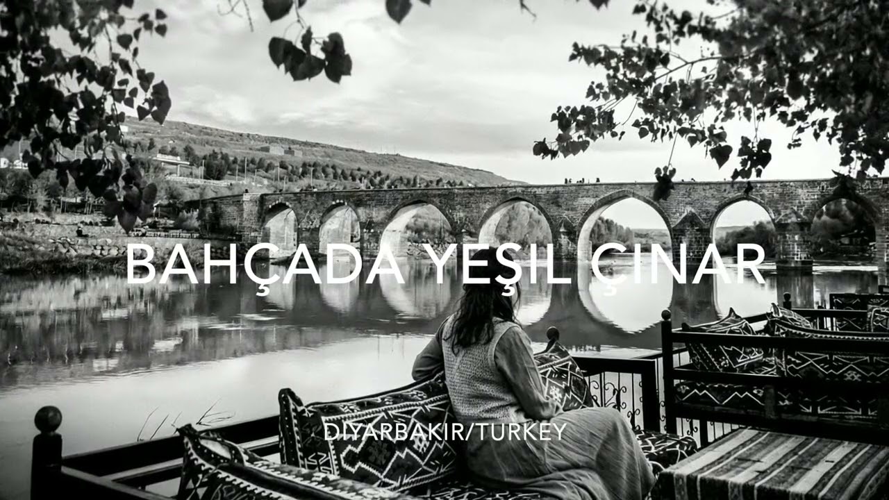 Bahçada Yeşil Çınar - Groove Reimagined