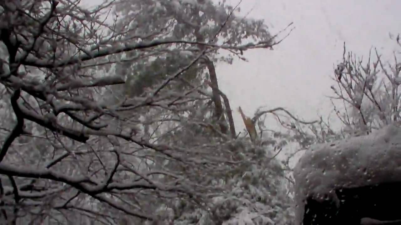 Snowstorm Damage - Downstairs view